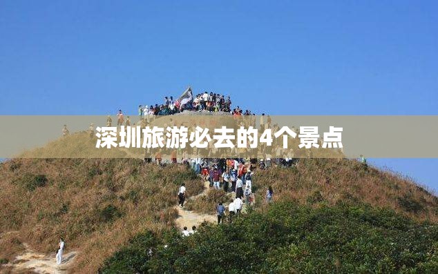 【会车技巧口诀/会车规则是什么】