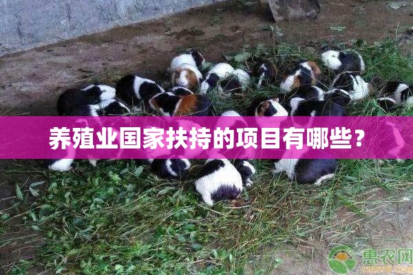 推荐一款“途游竞技有挂吗”详细辅助教程分享