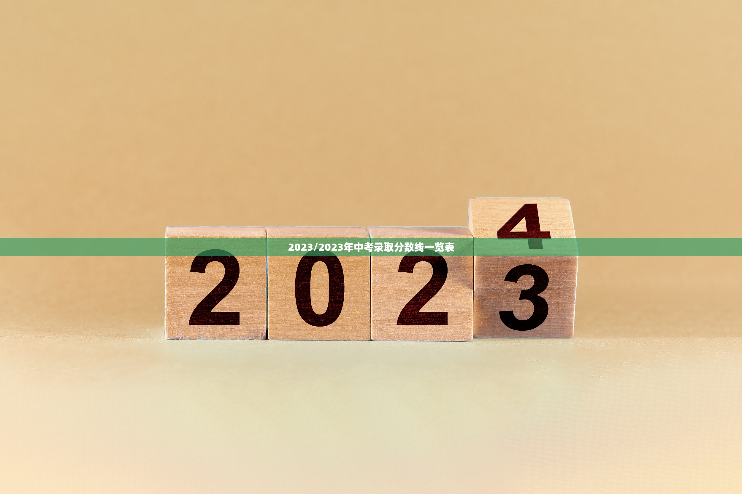 2023/2023年中考录取分数线一览表