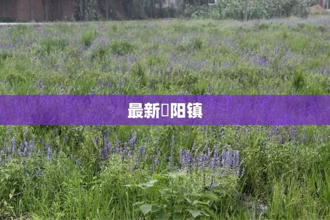 关于詹天佑的资料!!!!!!!