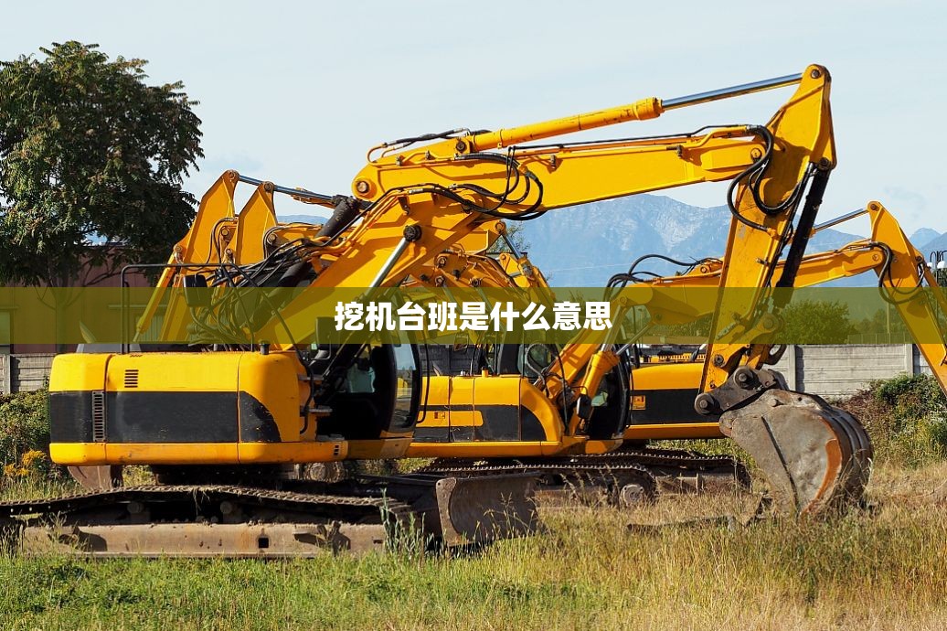 玩家辅助神器“陕麻圈是不是可以作弊(必备神器)”其实真的确实有挂