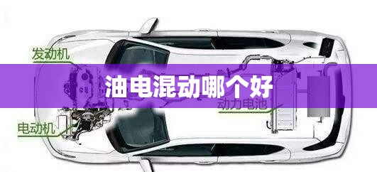 南京化纤最新消息利好/南京化纤今日点评