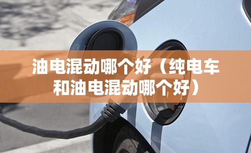 油电混动哪个好(纯电车和油电混动哪个好) 油电混动哪个好(纯电车和油电混动哪个好)