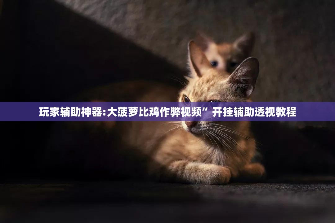 玩家辅助神器:大菠萝比鸡作弊视频	”开挂辅助透视教程