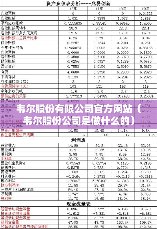 韦尔股份有限公司官方网站（韦尔股份公司是做什么的）