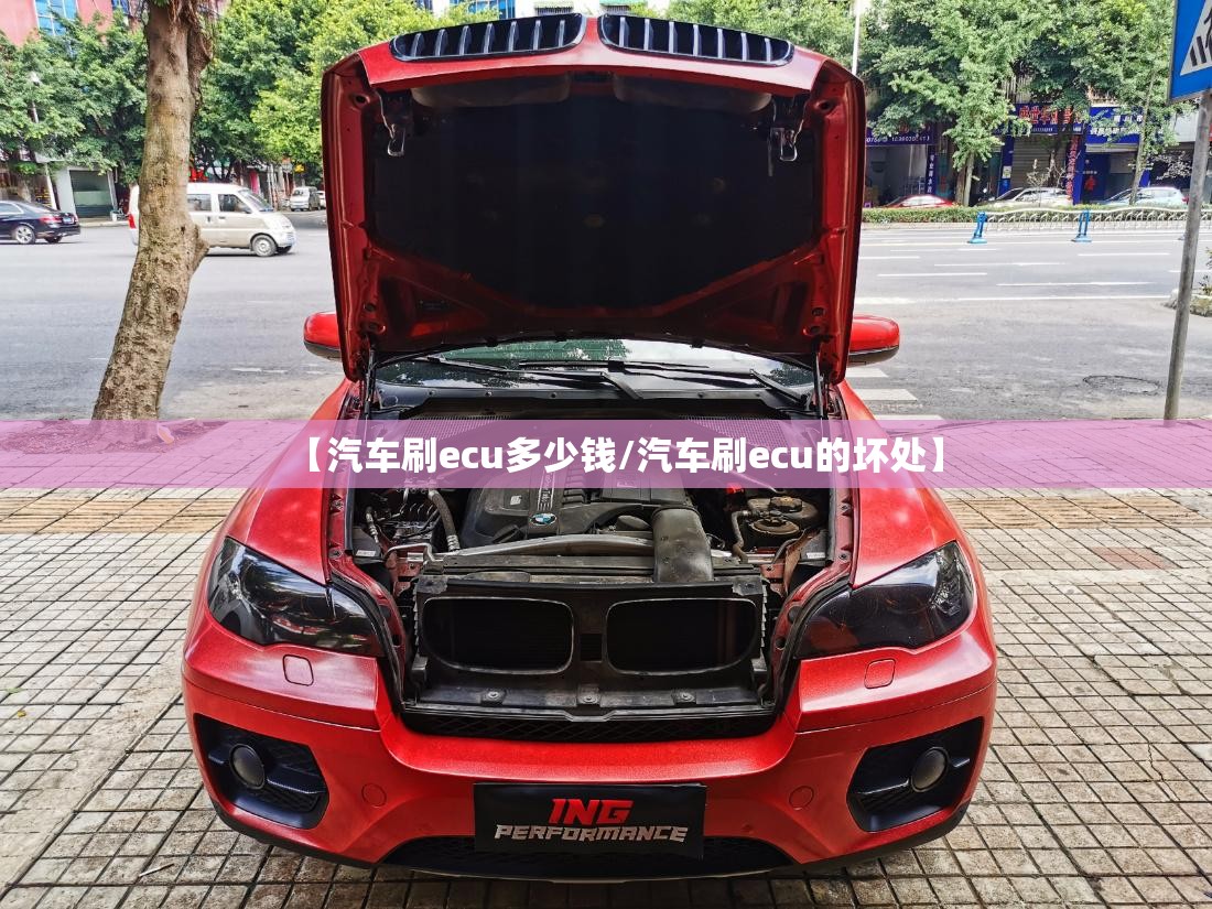 【汽车刷ecu多少钱/汽车刷ecu的坏处】