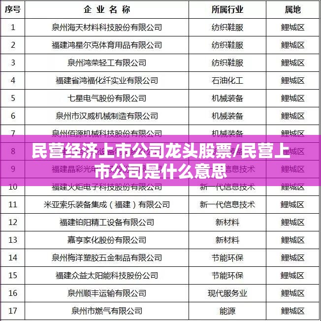 民营经济上市公司龙头股票/民营上市公司是什么意思