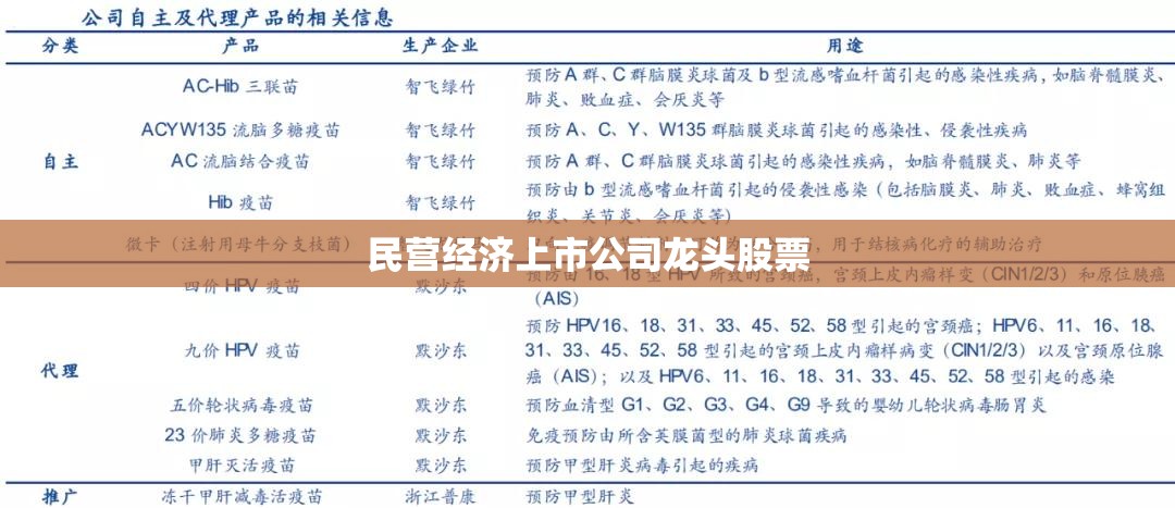 民营经济上市公司龙头股票/民营上市公司是什么意思
