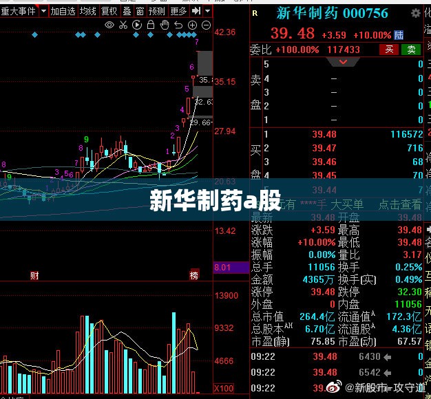 新华制药a股（新华制药股票多少）