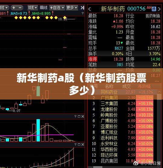 新华制药a股（新华制药股票多少）
