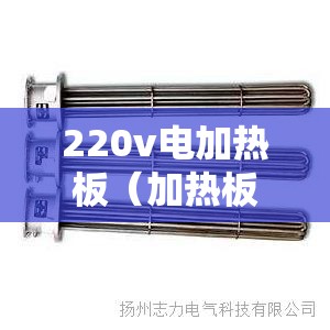 220v电加热板(加热板接线图) 220v电加热板(加热板接线图)
