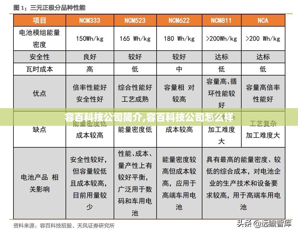 容百科技公司简介,容百科技公司怎么样 容百科技公司简介,容百科技公司怎么样