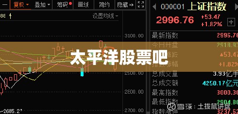 太平洋股票吧/太平洋601099股吧