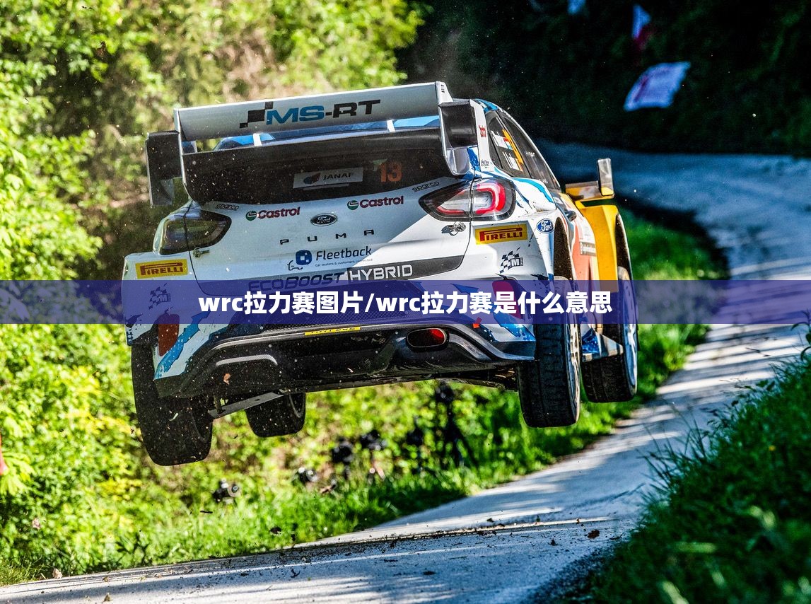 wrc拉力赛图片/wrc拉力赛是什么意思