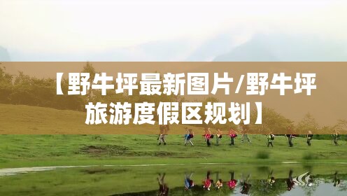 【野牛坪最新图片/野牛坪旅游度假区规划】