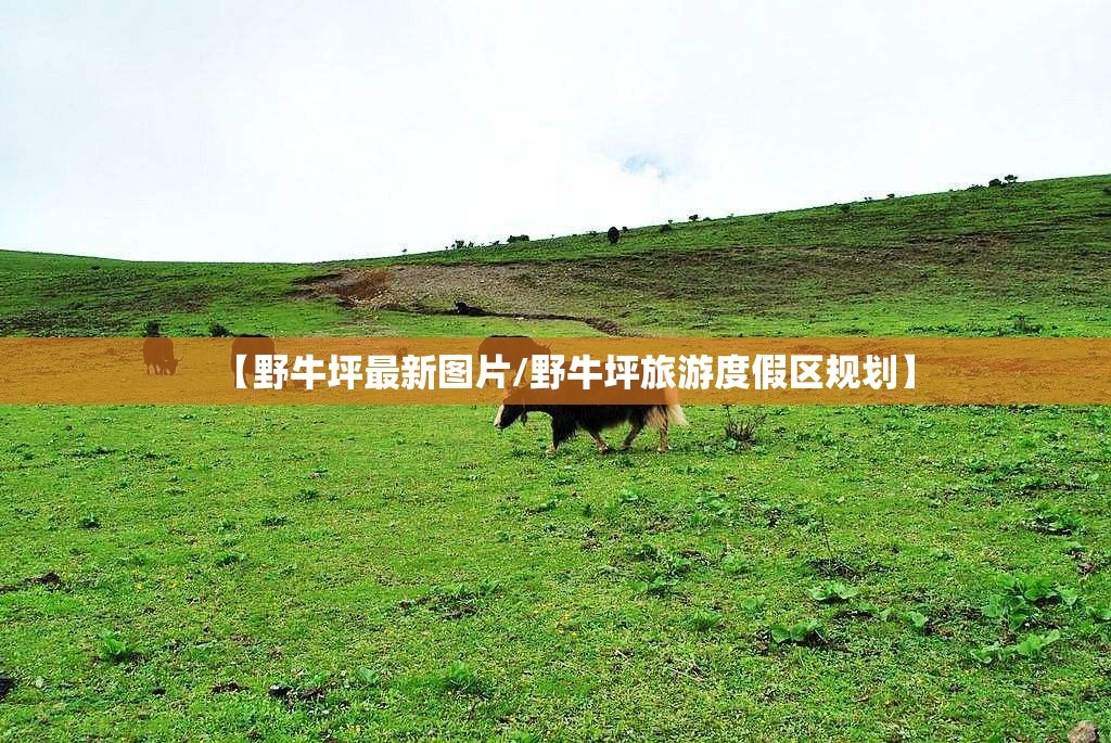【野牛坪最新图片/野牛坪旅游度假区规划】