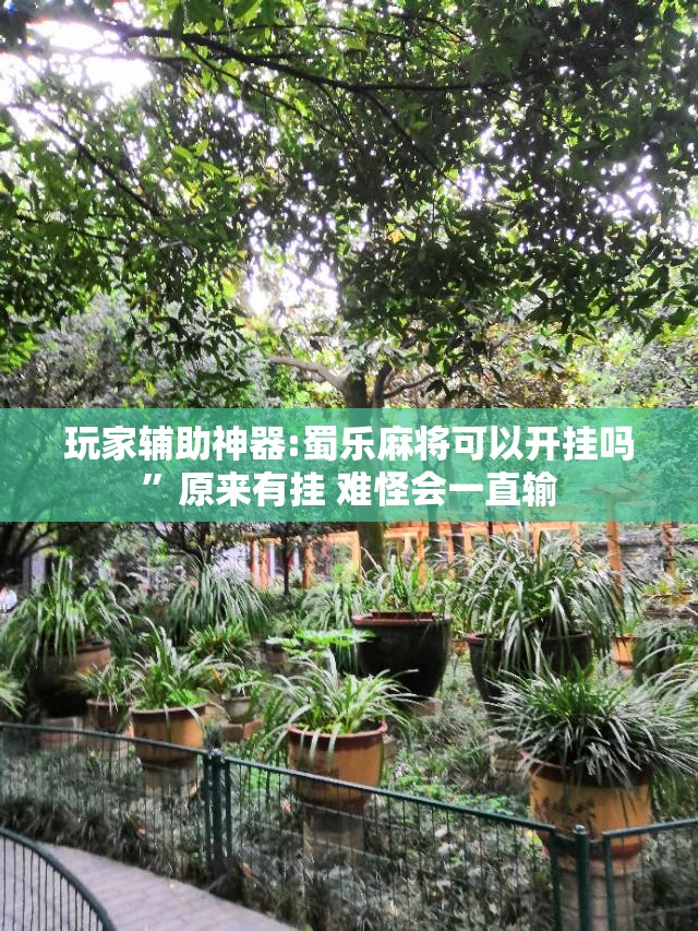 玩家辅助神器:蜀乐麻将可以开挂吗	”原来有挂 难怪会一直输