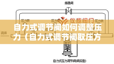 自力式调节阀如何调整压力(自力式调节阀取压方式) 自力式调节阀如何调整压力(自力式调节阀取压方式)