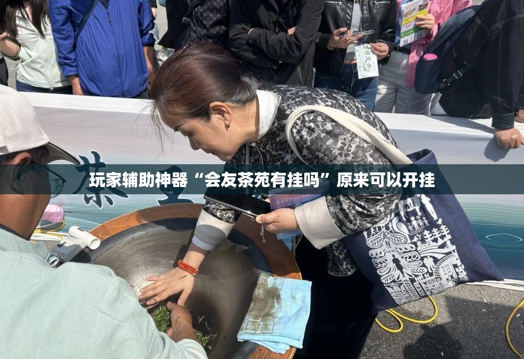 玩家辅助神器“会友茶苑有挂吗”原来可以开挂