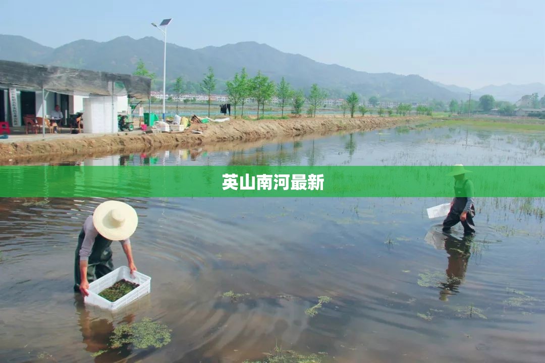 英山南河最新（英山南河镇有多少人口）