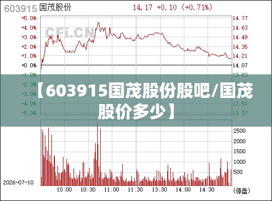 【603915国茂股份股吧/国茂股价多少】