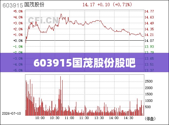 【603915国茂股份股吧/国茂股价多少】