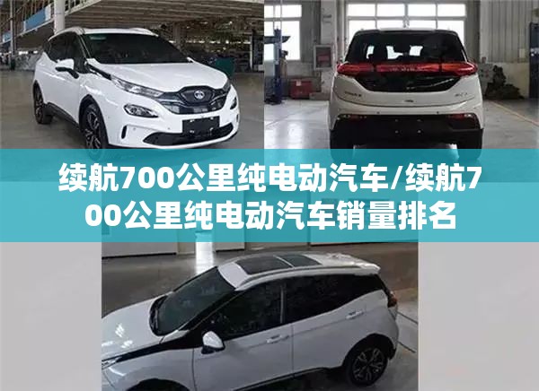 续航700公里纯电动汽车/续航700公里纯电动汽车销量排名