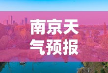 安装程序教程“拱趴大菠萝怎么拿好牌”详细分享装挂步骤
