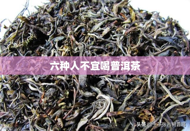 六种人不宜喝普洱茶（什么人不适合喝白茶）