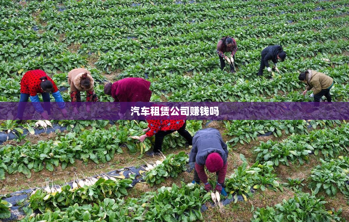 【汽车租赁公司赚钱吗/汽车租赁公司生意好吗】