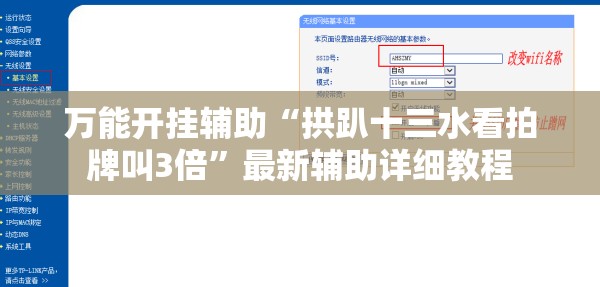 六种人不宜喝普洱茶（什么人不适合喝白茶）