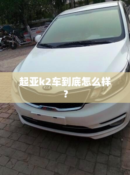 十大稳健基金排名