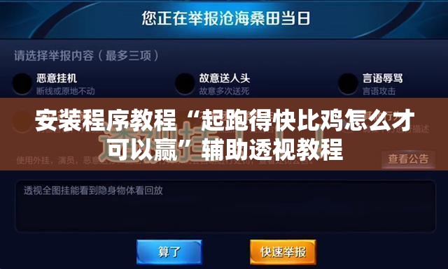 安装程序教程“起跑得快比鸡怎么才可以赢”辅助透视教程