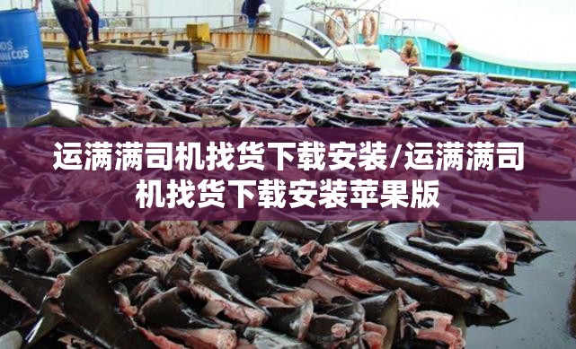 万能开挂辅助“拱趴十三水看拍牌叫3倍”最新辅助详细教程