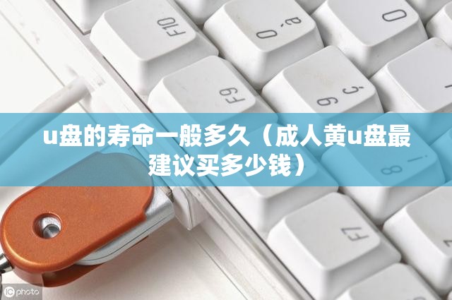 u盘的寿命一般多久（成人黄u盘最建议买多少钱）