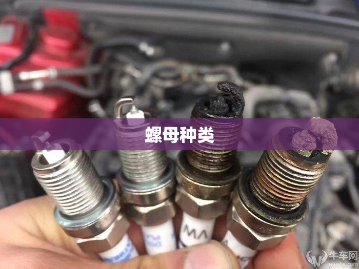 螺母种类（各种螺母）