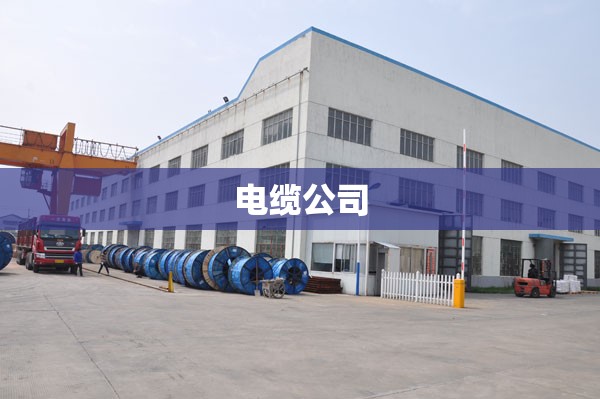 电缆公司,电缆公司名称起名
