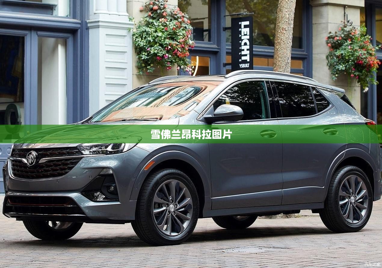 【行车记录仪app忘记了怎么查,行车记录仪app忘记了怎么办】