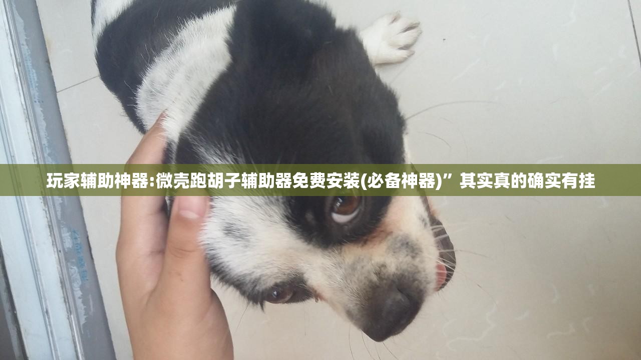 龙华最新天气,天气预报龙华新区