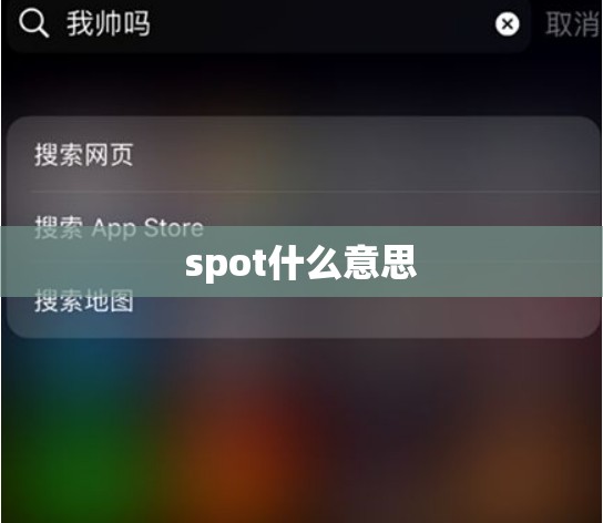 【spot什么意思,spot的中文翻译】