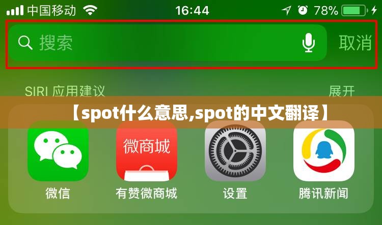 【spot什么意思,spot的中文翻译】