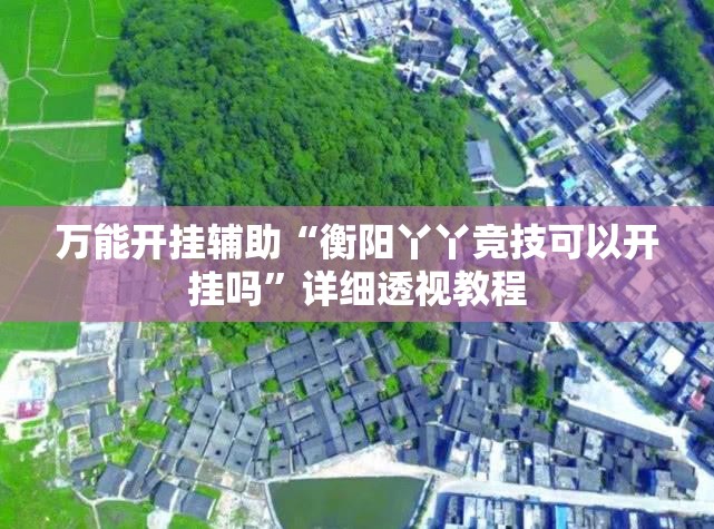 万能开挂辅助“衡阳丫丫竞技可以开挂吗”详细透视教程