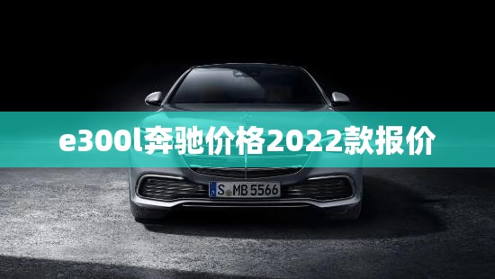 e300l奔驰费用2022款报价,e300l奔驰报价2021款视频