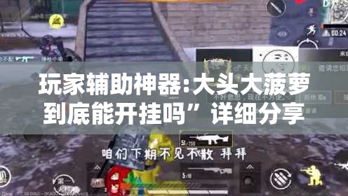 玩家辅助神器:大头大菠萝到底能开挂吗”详细分享装挂步骤
