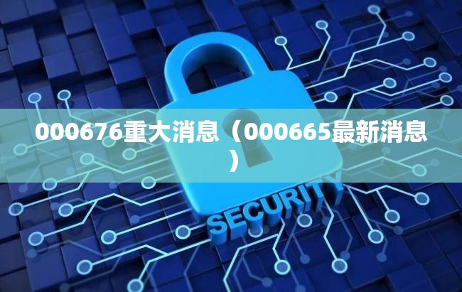 000676重大消息（000665最新消息）