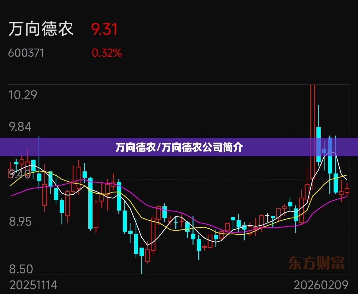 万向德农/万向德农公司简介