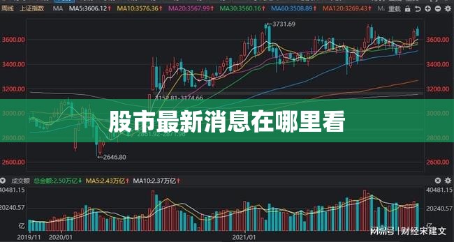 【股市最新消息在哪里看,股市消息最快知道】