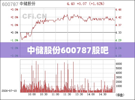 中储股份600787股吧,600787中储股份千股千评