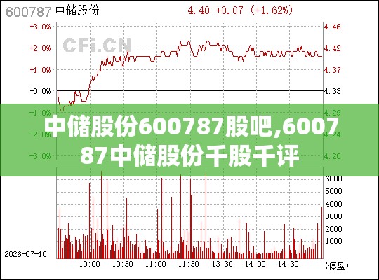 中储股份600787股吧,600787中储股份千股千评