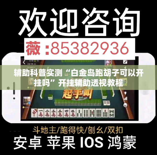 辅助科普实测“白金岛跑胡子可以开挂吗	”开挂辅助透视教程
